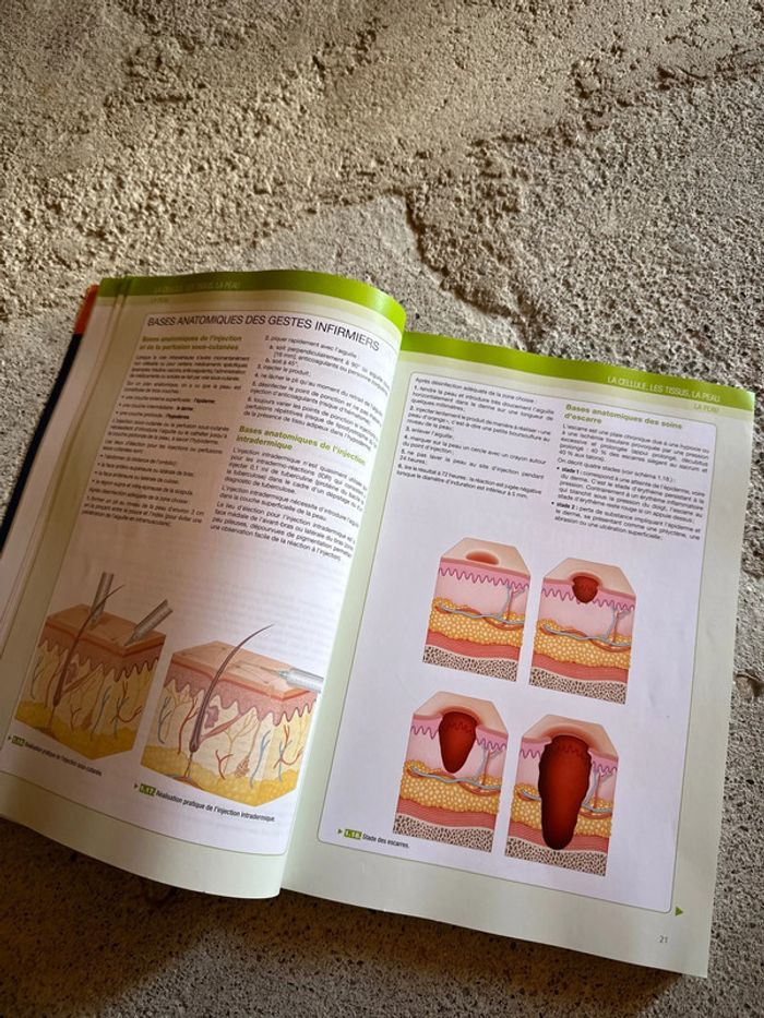 L’anatomie et la physiologie pour les infirmier(e)s - photo numéro 3