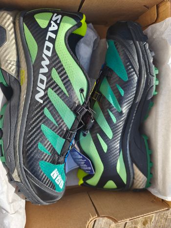Salomon
