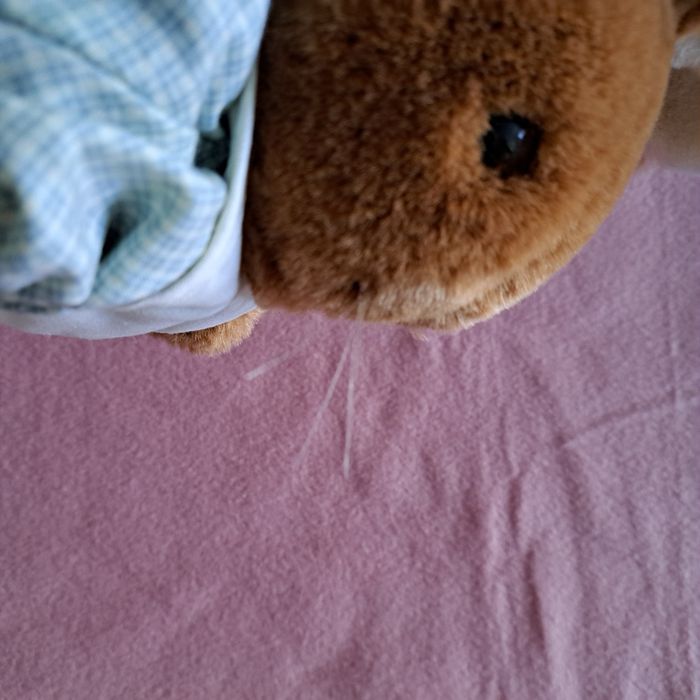 Mrs rabbit peter - photo numéro 12