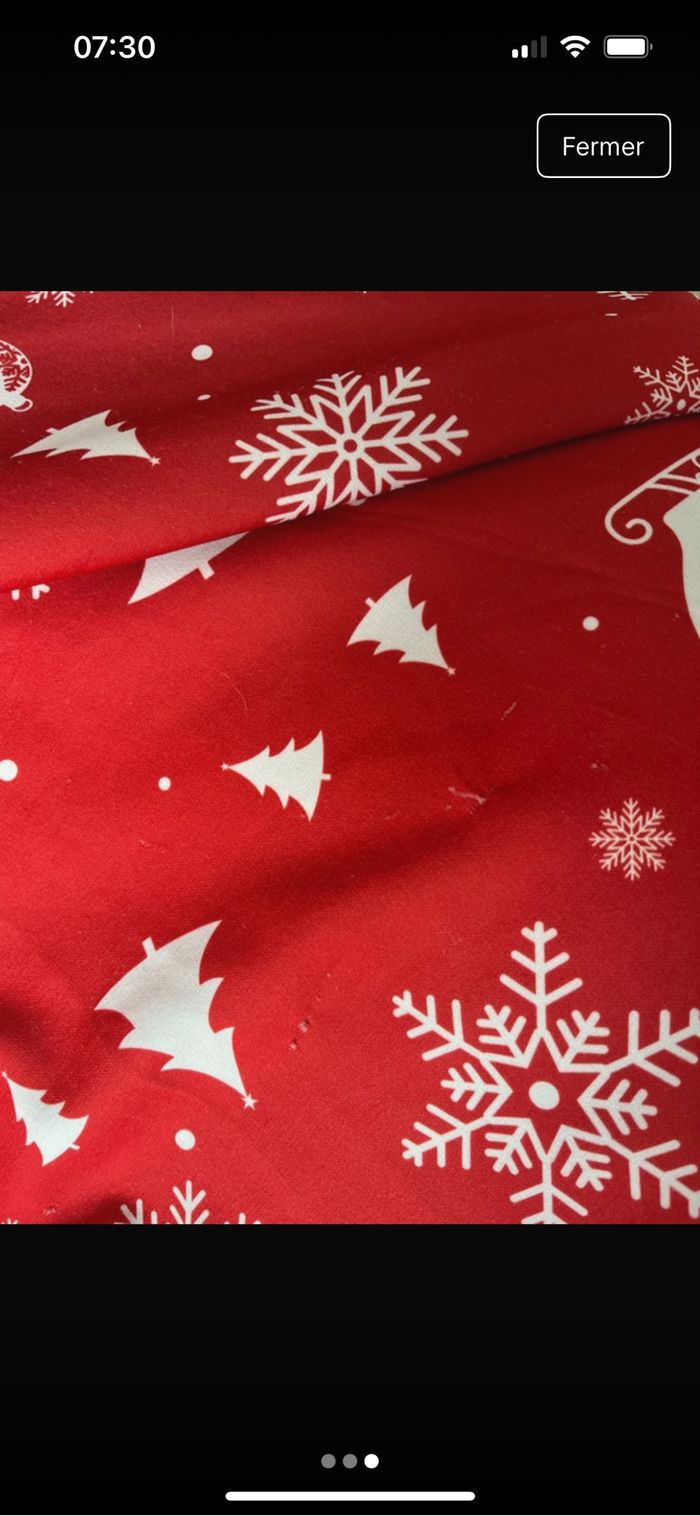 Robe Noël - photo numéro 3