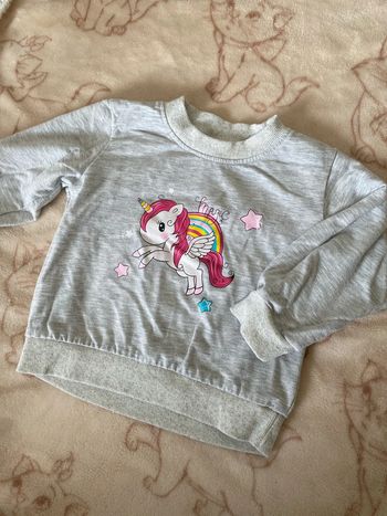 Pull licorne
