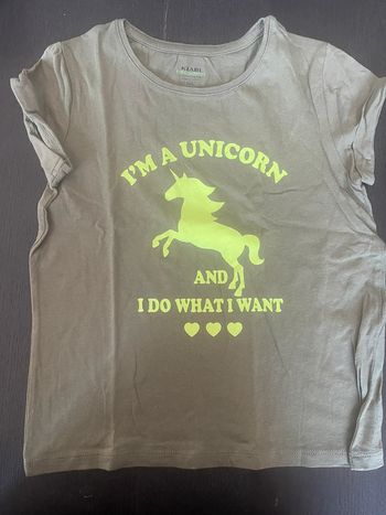 Lot 2 tee-shirts manches courtes folle
