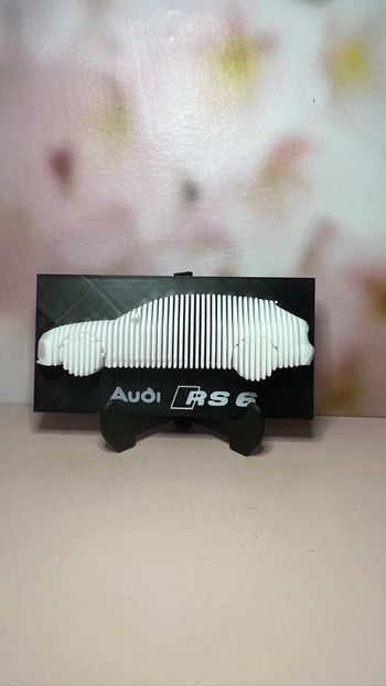 Sculpture Audi RS6