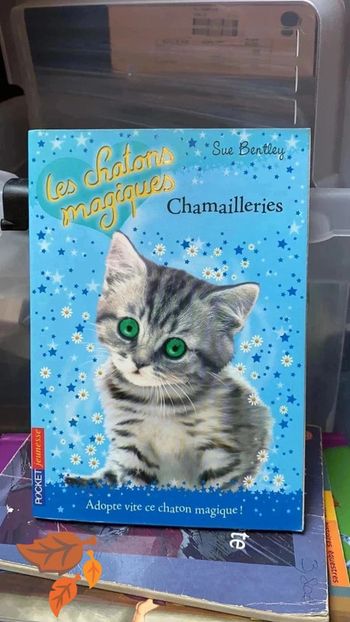 Les chatons magiques « Chamailleries »