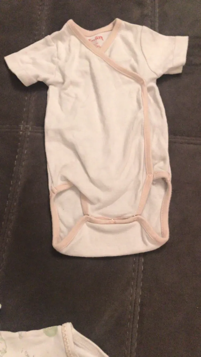 Body