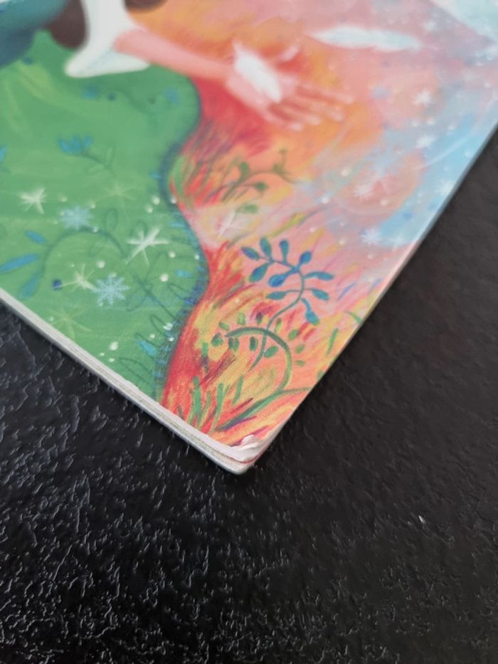 Dame Hiver - photo numéro 3