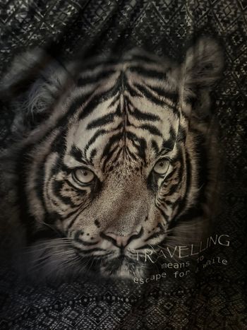 Teeshirt tigre Yessica