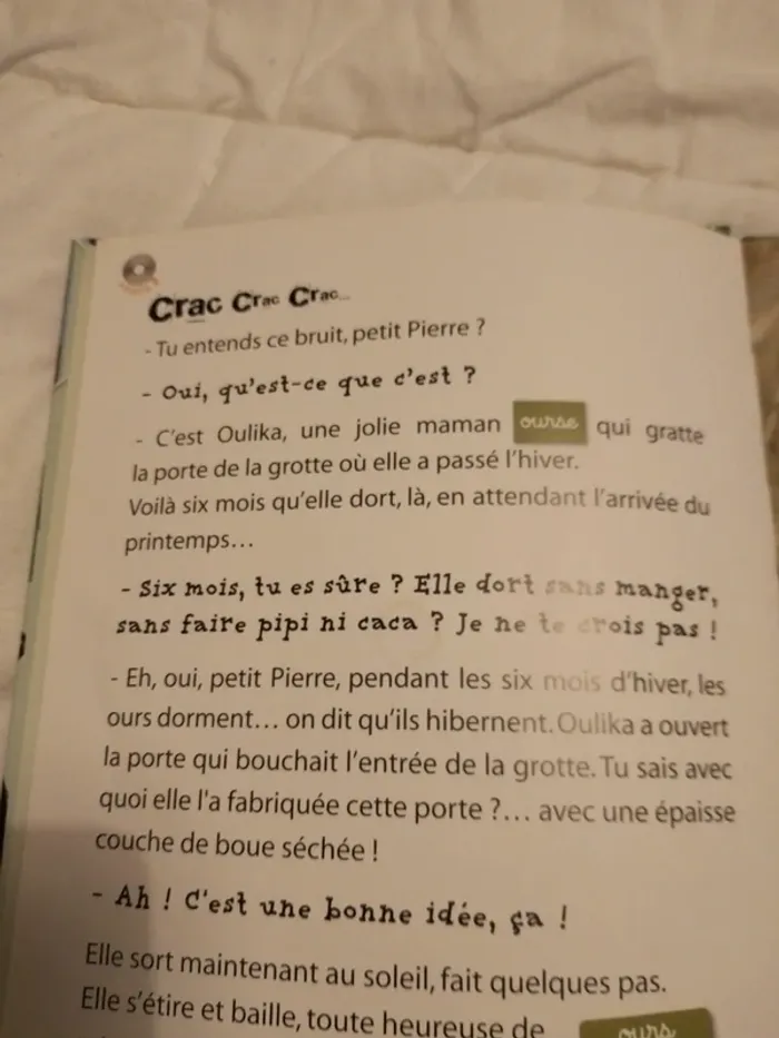 Livre l'ours - photo numéro 3