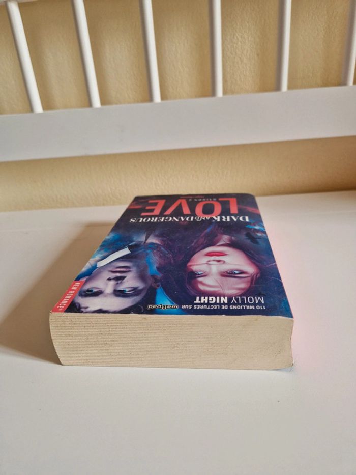 Livre romance fantastique - photo numéro 6