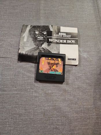 wonderboy sega gamegear