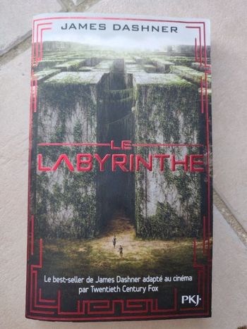 Le Labyrinthe Tome 1