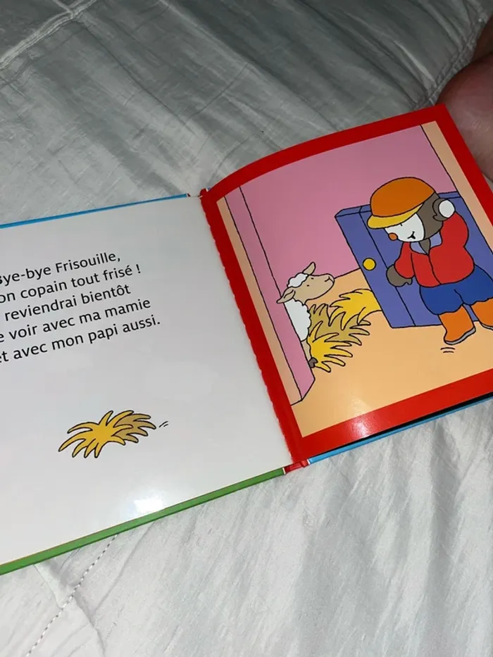 Livre - photo numéro 5