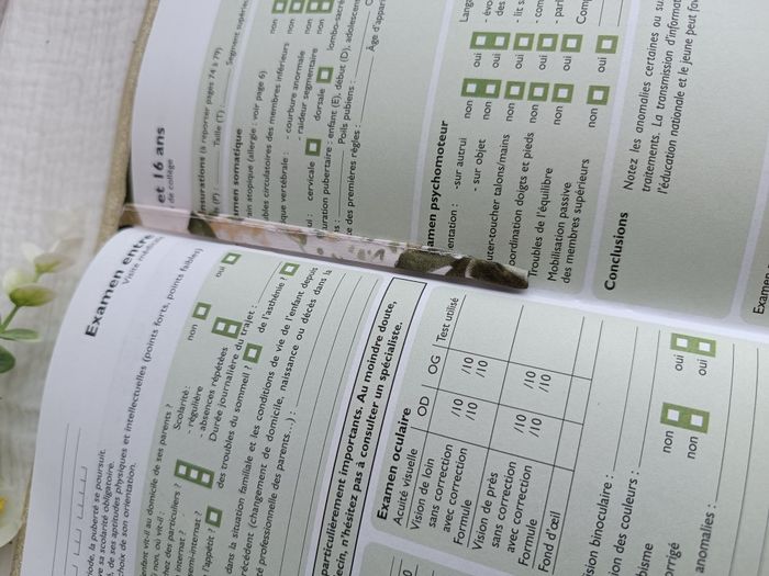 Protège carnet de santé lapin hérisson - photo numéro 8
