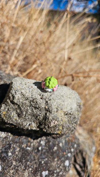 Super petite figurine Pokemon Nintendo shymin