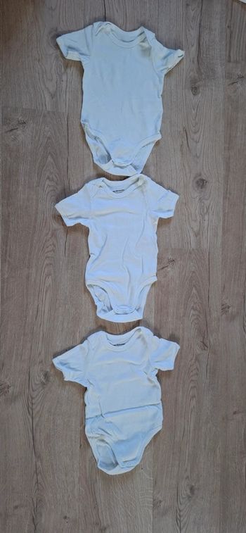 Lot 3 bodies MC 9mois TBE Vert Baudet