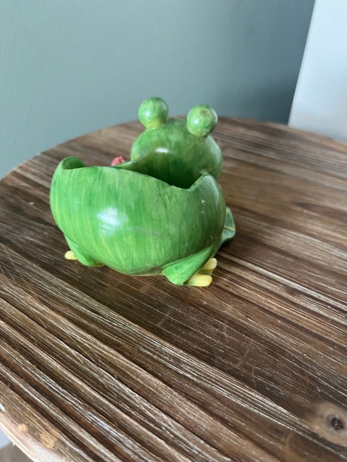 Grenouille 🐸 - photo numéro 3