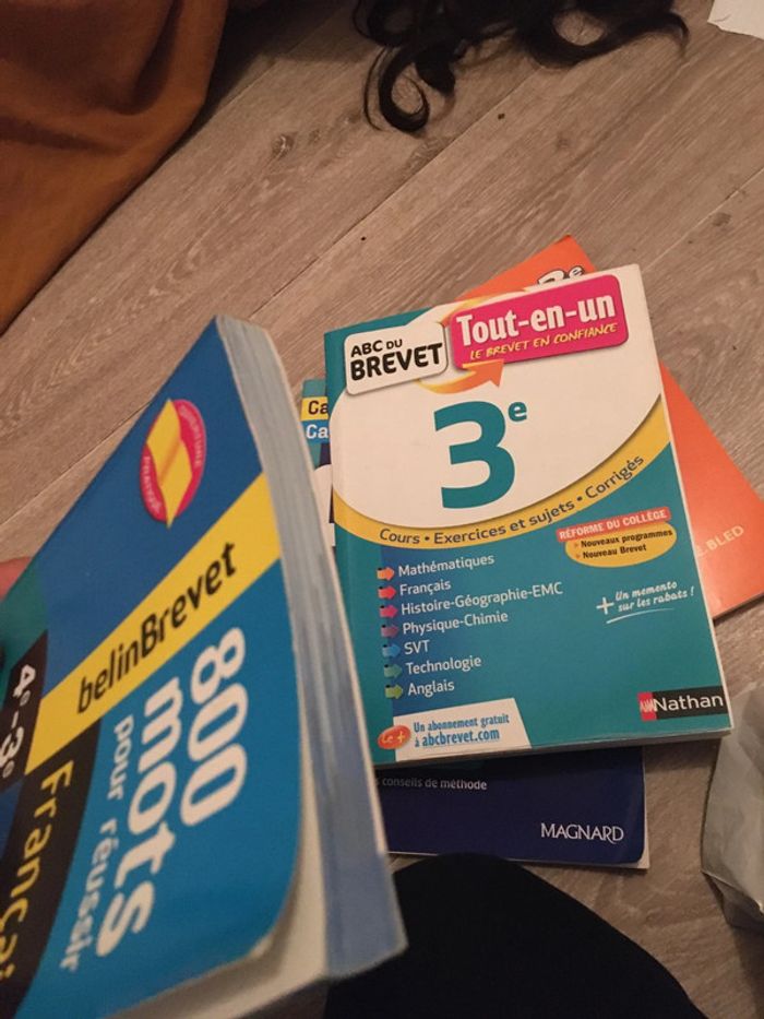 Français berlinbrevet 4 eme 3 eme - photo numéro 10