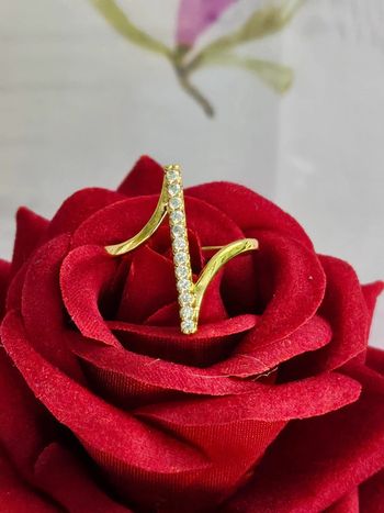 Bague avec zirconium en acier inoxydable