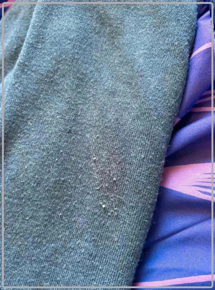 Pull fin taille 36 - photo numéro 4