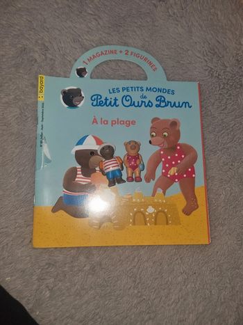 Petit ours brun à la plage