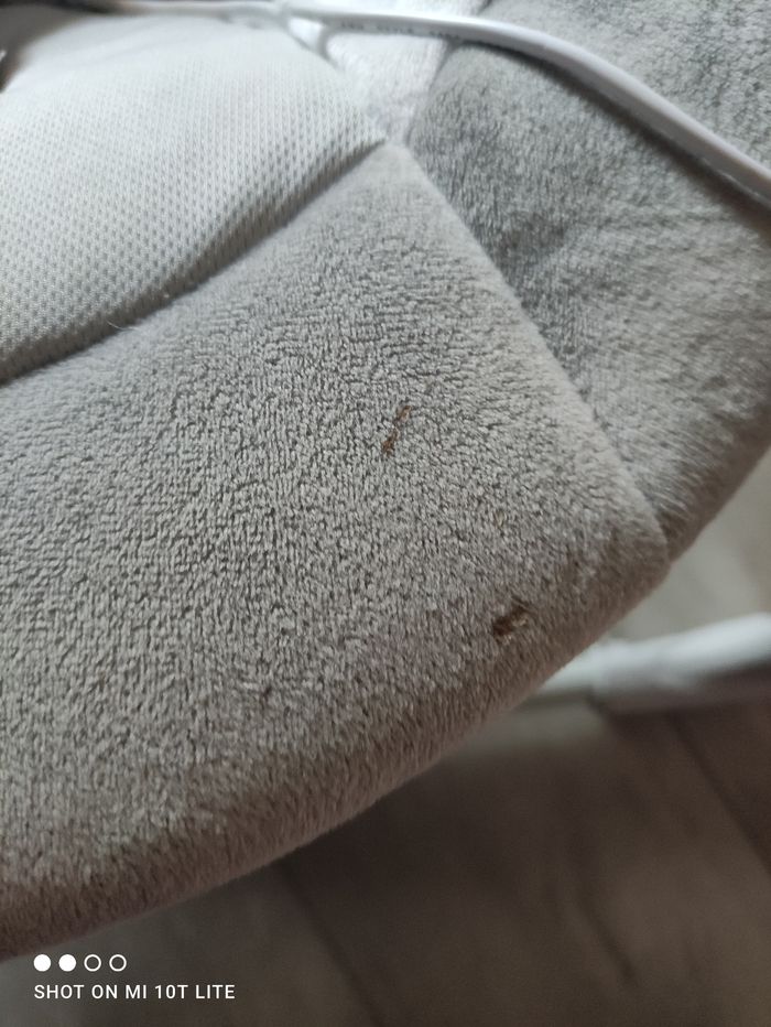 Balancelle - photo numéro 2