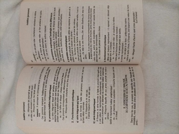 Grammaire du français – Denis & Sancier-Château - photo numéro 3