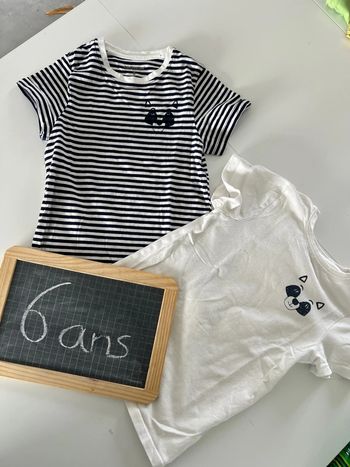 Lot 2 tee-shirts manches courtes