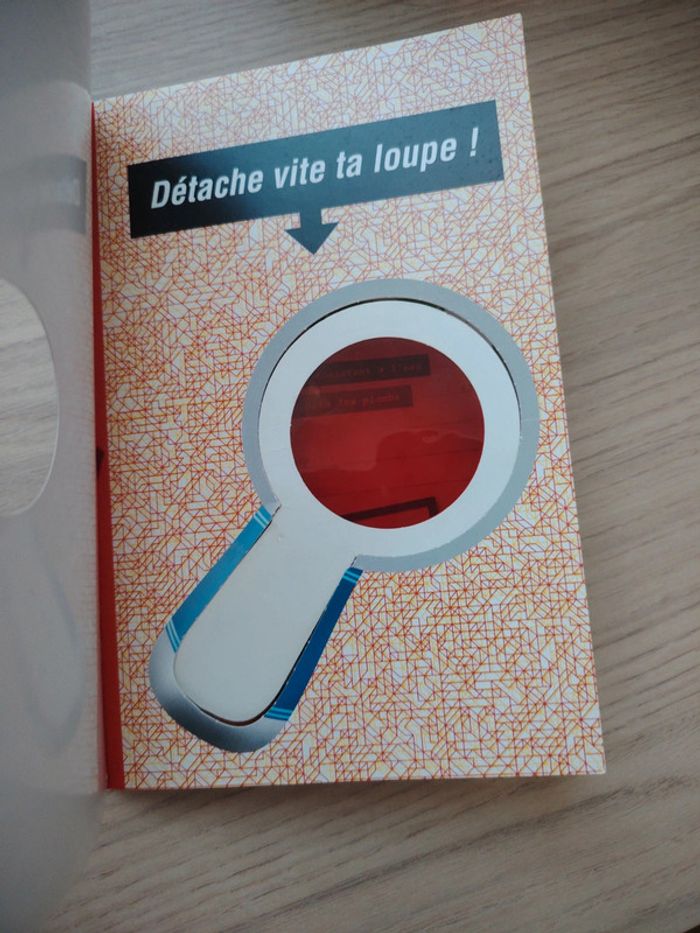 Livre Les petites enquêtes ce2 et cm1 - photo numéro 12