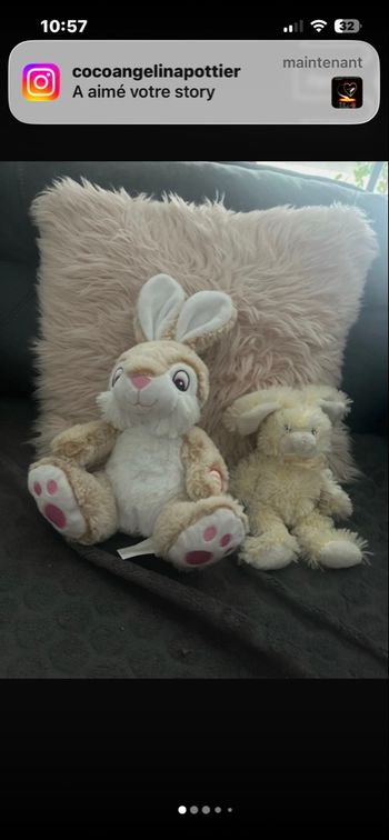 Lots peluches lapin 