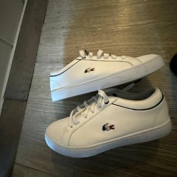 Basket Lacoste