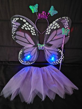 Déguisement papillon violet et accessoires 3-6ans