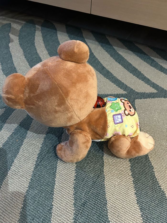 Ourson rampant - photo numéro 4