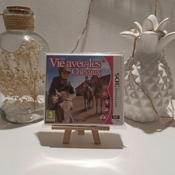 3DS jeu ma vie avec les cheveux