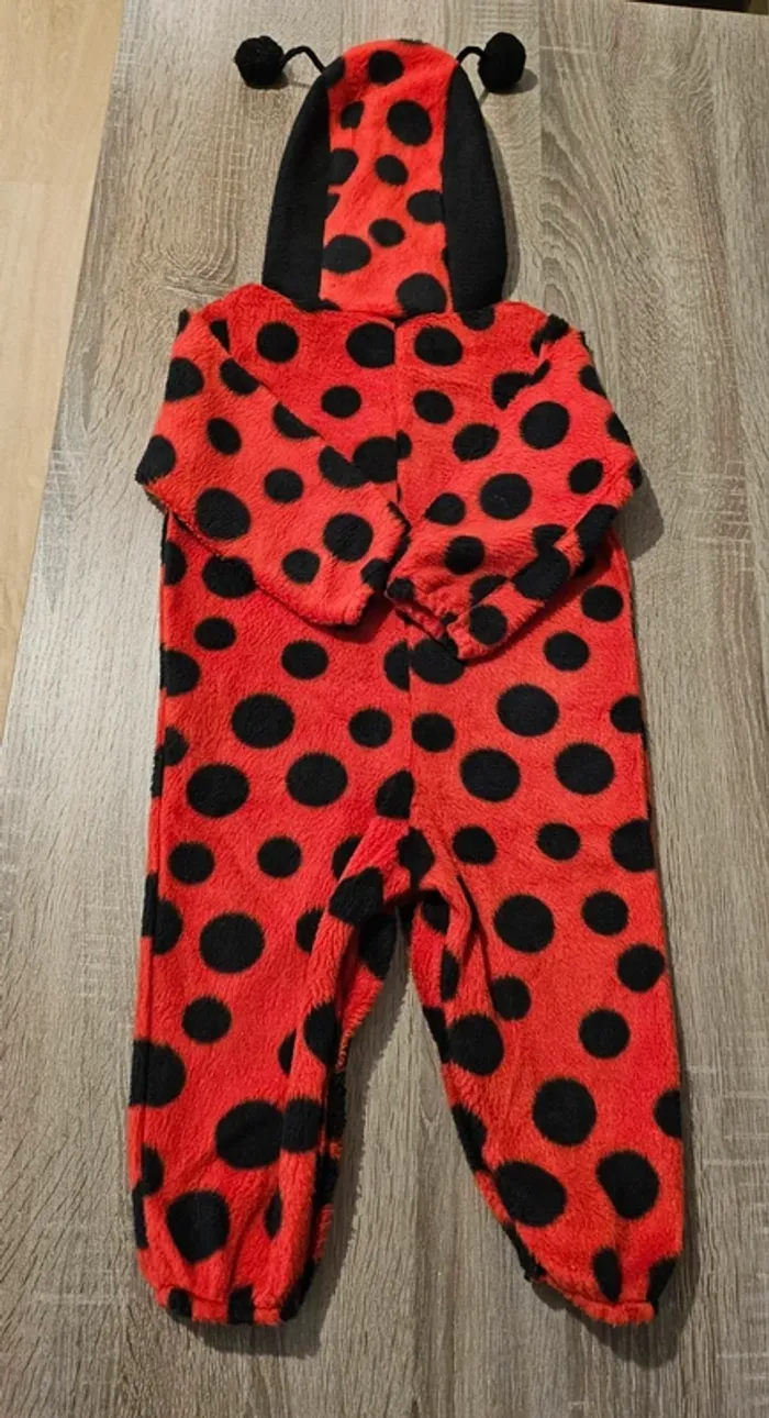 Costume coccinelle 18/24 mois - photo numéro 7