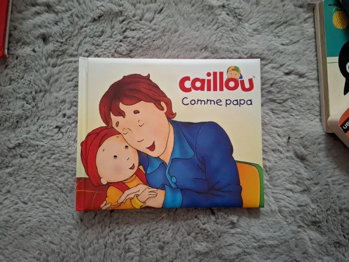 Lot de 2 livres "Caillou" - photo numéro 2