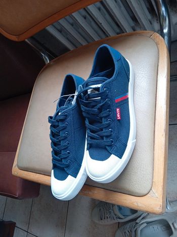 Basket levis