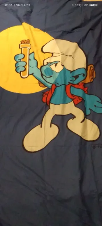 housse de couette et housse oreiller 1 personne strouphm