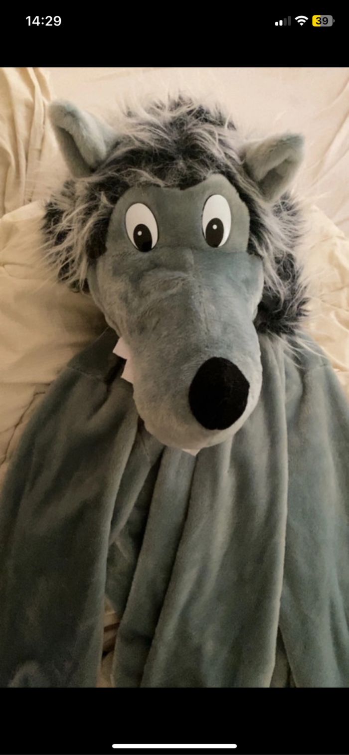 Déguisement - photo numéro 2