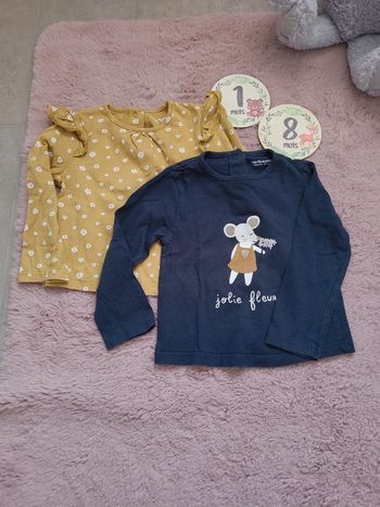 Lot de deux t-shirts 18 mois