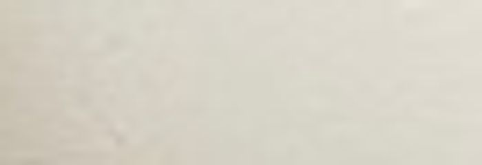 Parka Femme kaki– Taille XL – très bon etat - photo numéro 6