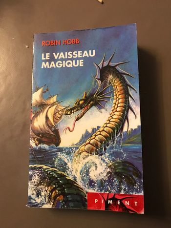 Livre Le vaisseau magique