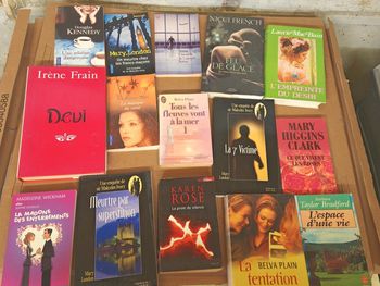 Lot de livres thriller policier roman amour vie