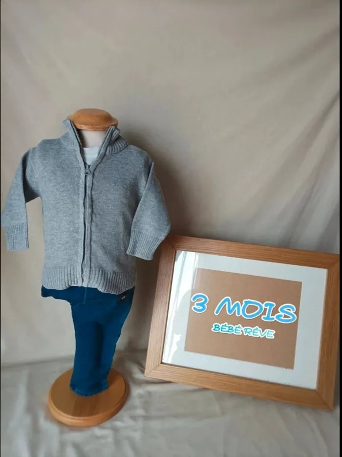 Gilet zippé gris col montant Bébé Rêve garçon 3 mois