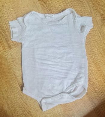 Body