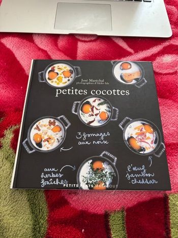 Livre recettes cuisine «  petites cocottes »