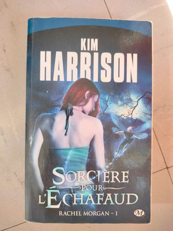 L2 Sorcière pour l'échafaud