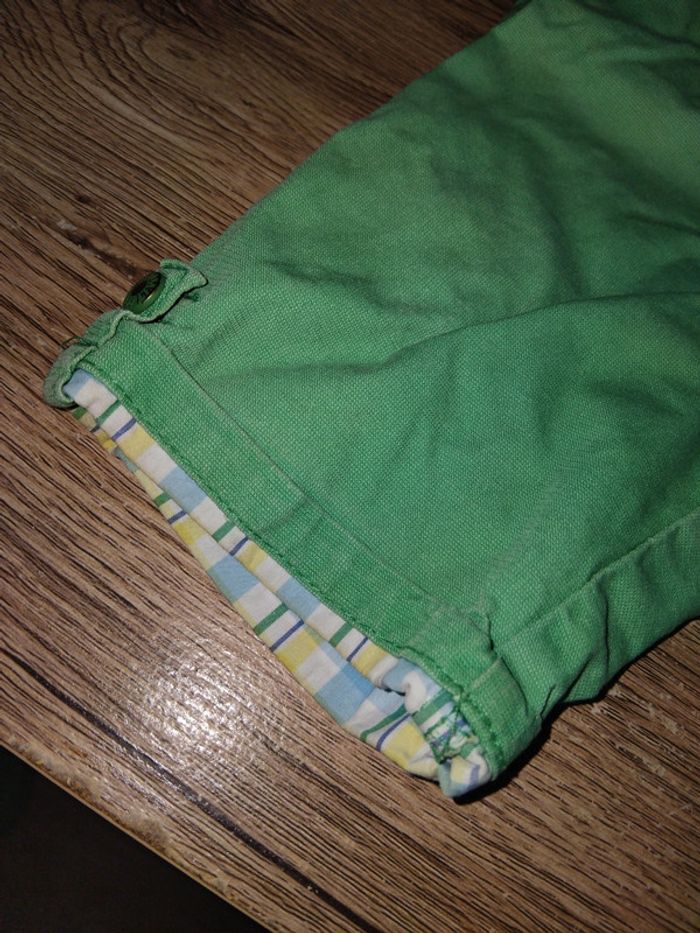 Bermuda sergent major - photo numéro 2