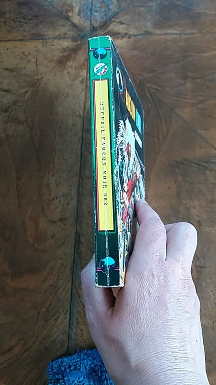 Bd enfant faucon noir - photo numéro 3