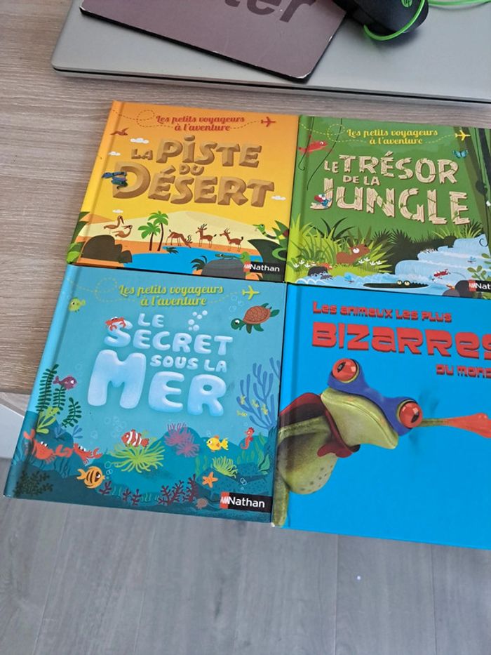 lot de 4 livres nathan - photo numéro 2