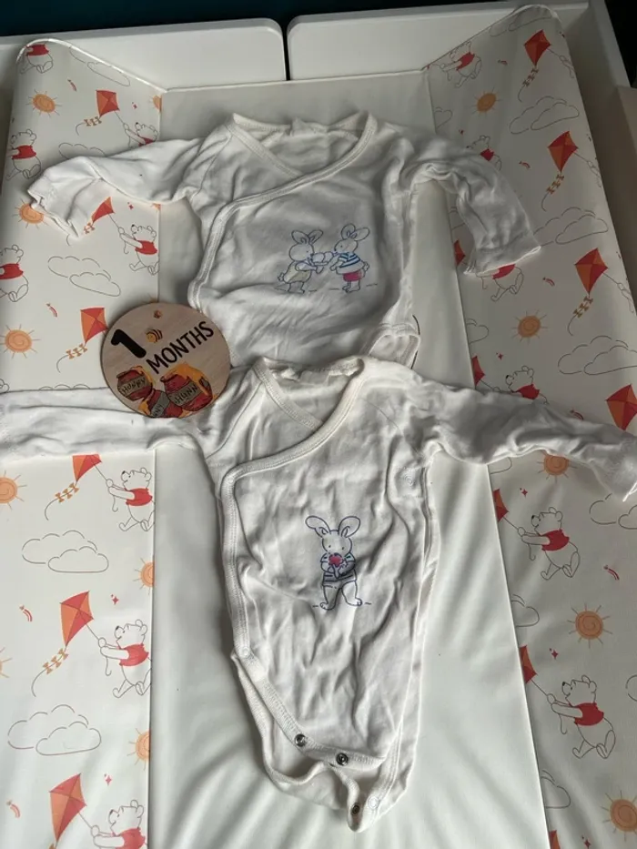 Lot de 2 bodies taille 1 mois